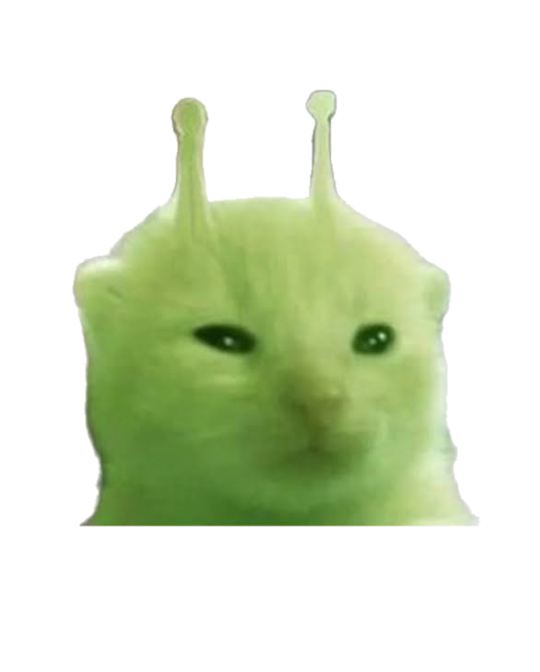 Glorp